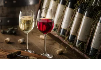 Introduction to Wine